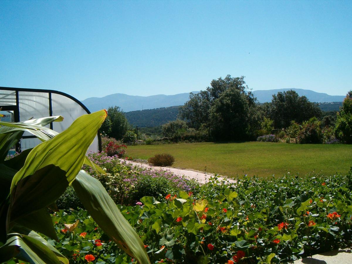Apartamentos El Jardin Del Poeta Guijo de Granadilla 外观 照片