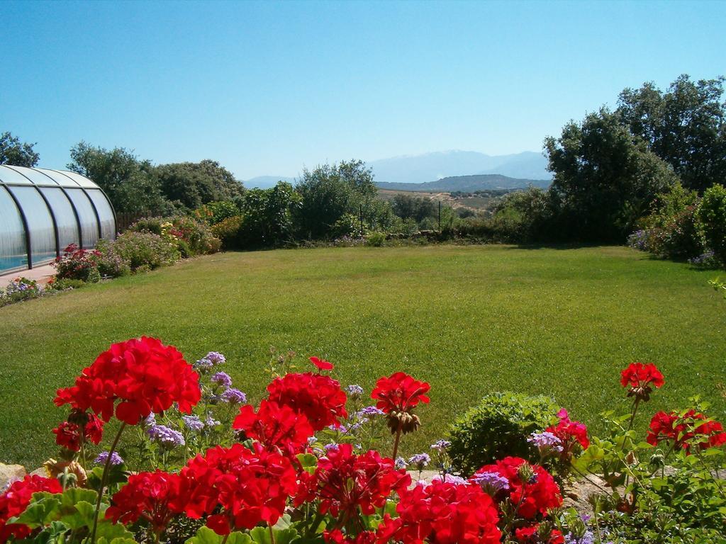 Apartamentos El Jardin Del Poeta Guijo de Granadilla 外观 照片